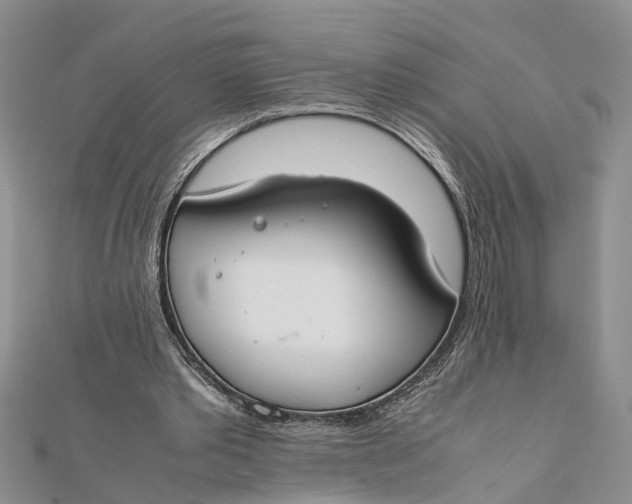 X0000112170389200908281344