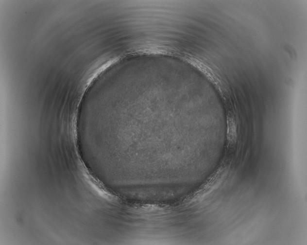 X0000112170390200908281344