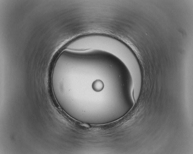 X0000112170391200908281344