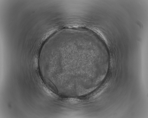 X0000112170393200908281344