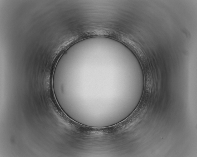 X0000112170394200908281344