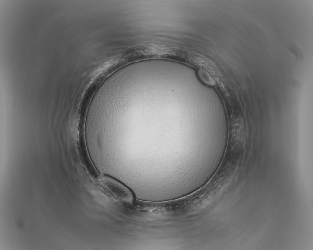 X0000112170395200908281344