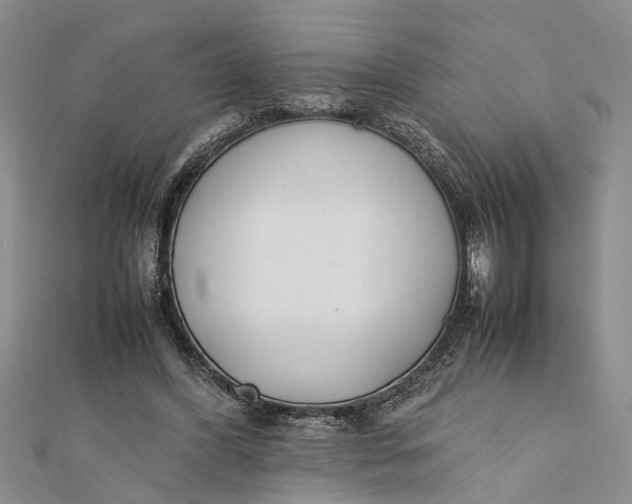 X0000112170396200908281344