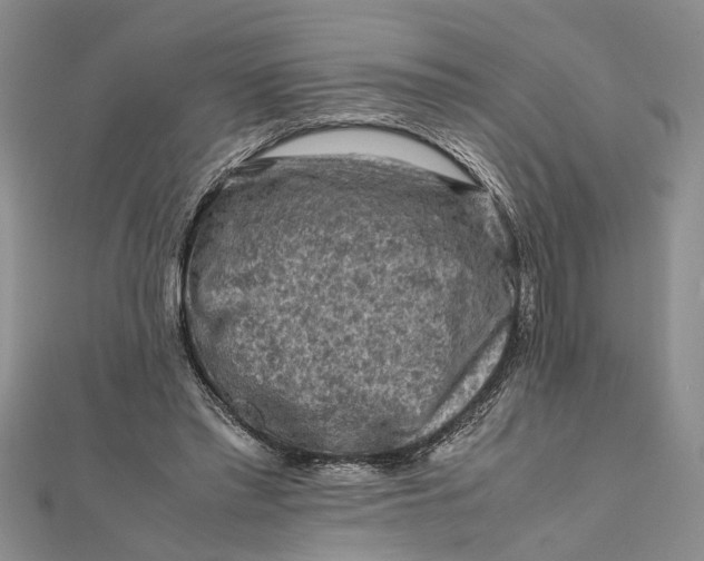 X0000112170397200908281344