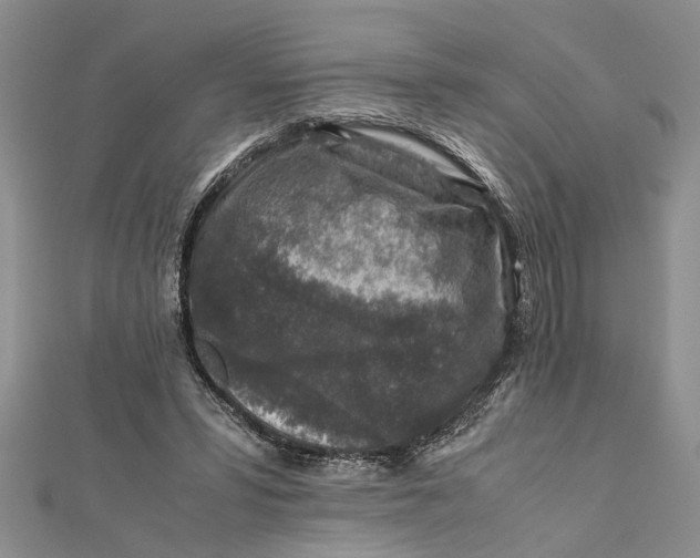 X0000112170399200908281344