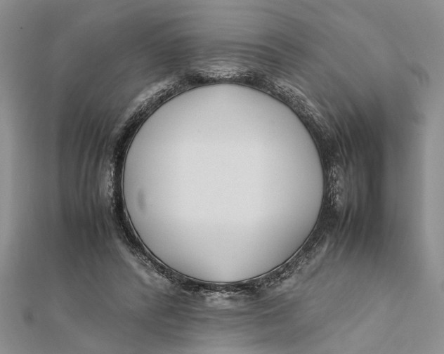 X0000112170400200908281344