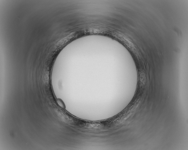 X0000112170401200908281344