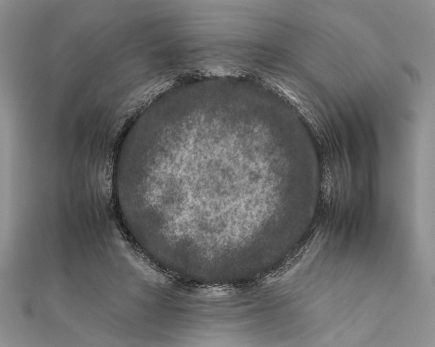 X0000112170402200908281344