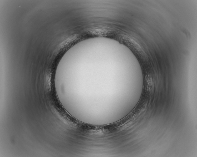 X0000112170404200908281344