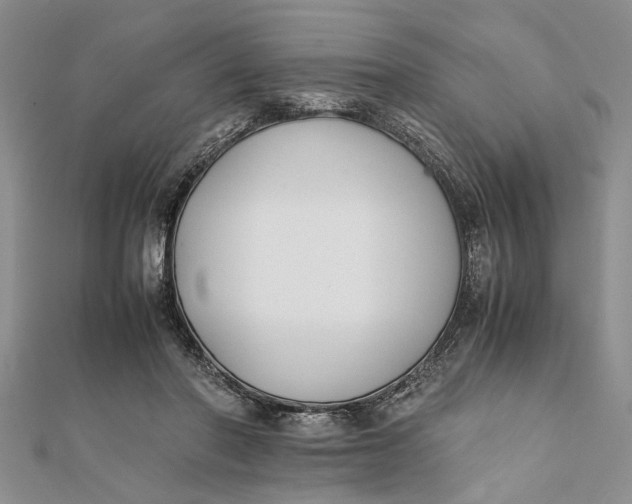 X0000112170406200908281344