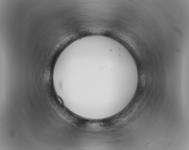 X0000112170407200908281344