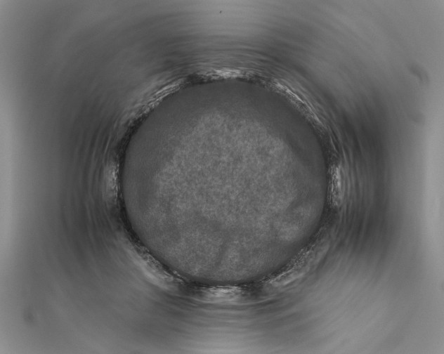 X0000112170410200908281344