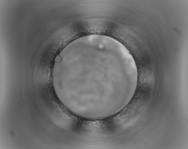 X0000112170411200908281344