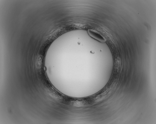 X0000112170412200908281344