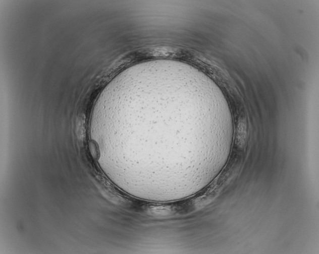 X0000112170413200908281344