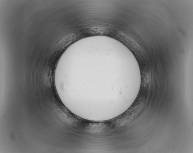 X0000112170414200908281343