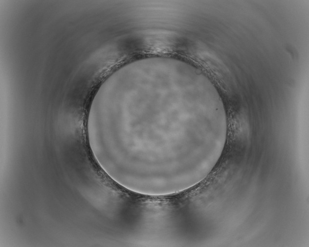 X0000112170415200908281343