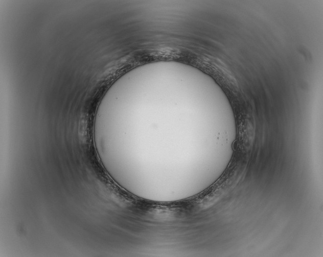 X0000112170416200908281343