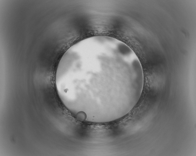 X0000112170419200908281343