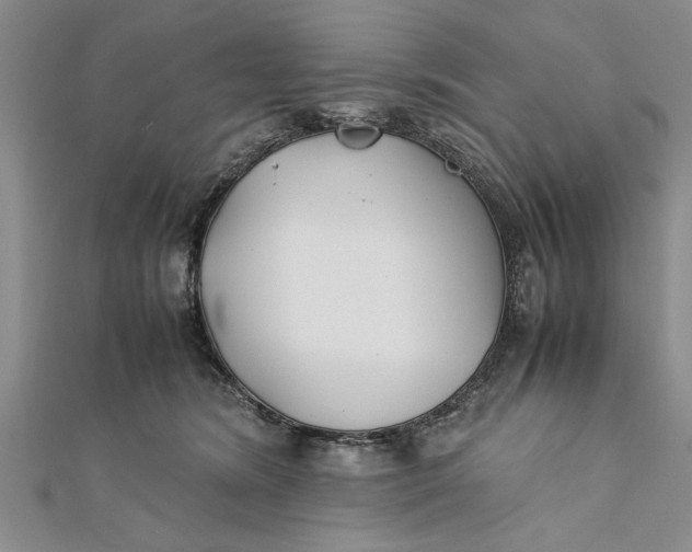 X0000112170420200908281343