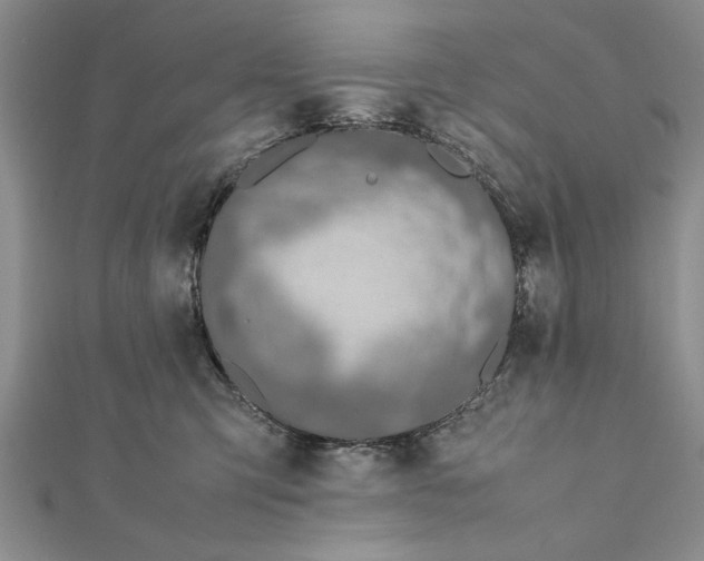 X0000112170423200908281343