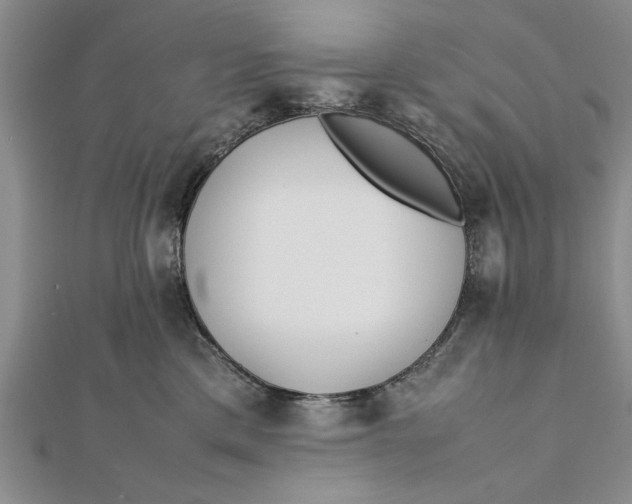 X0000112170425200908281343