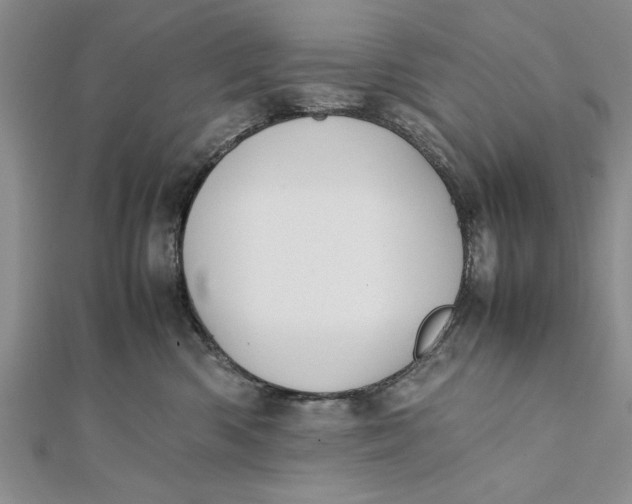 X0000112170426200908281343