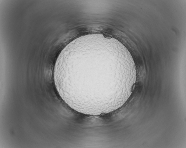 X0000112170427200908281343