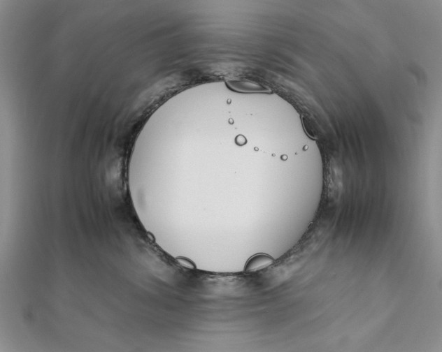 X0000112170428200908281343