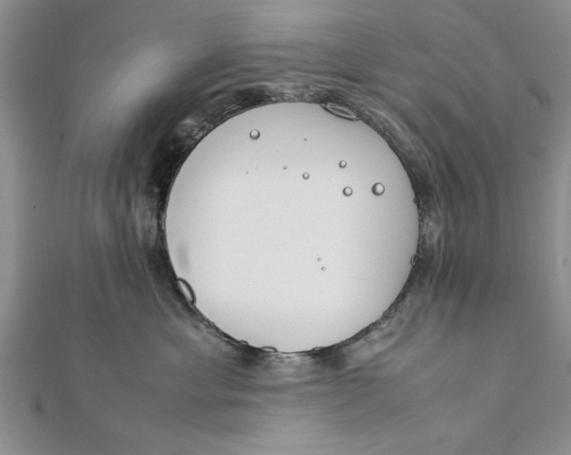 X0000112170429200908281343