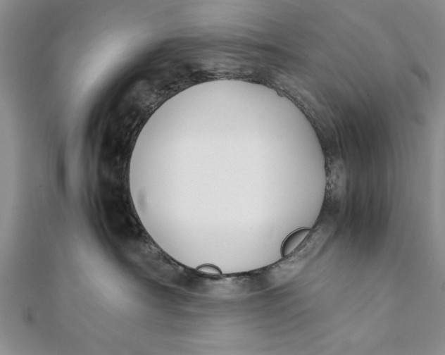 X0000112170430200908281343