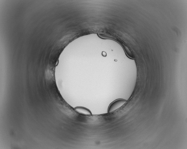 X0000112170432200908281343