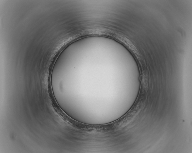 X0000112170434200908281342