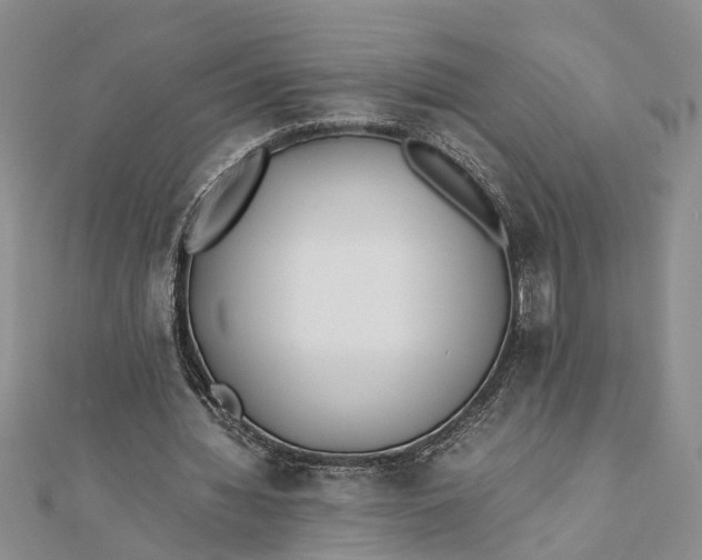 X0000112170436200908281343