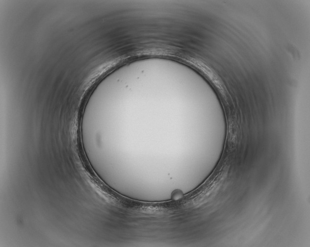 X0000112170437200908281343