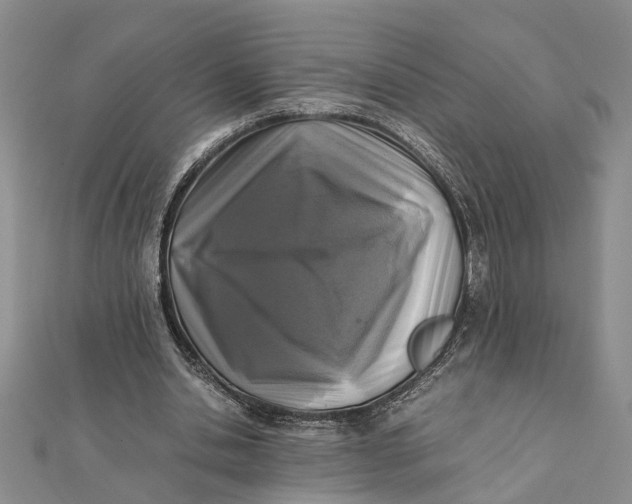 X0000112170438200908281343