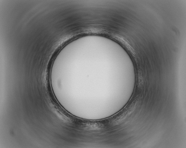 X0000112170439200908281343