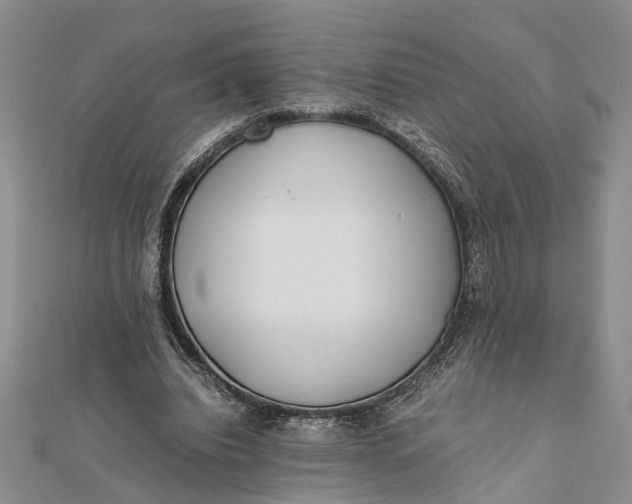 X0000112170440200908281343