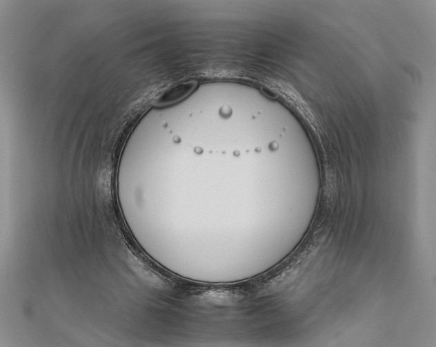 X0000112170441200908281343