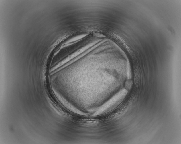 X0000112170443200908281343