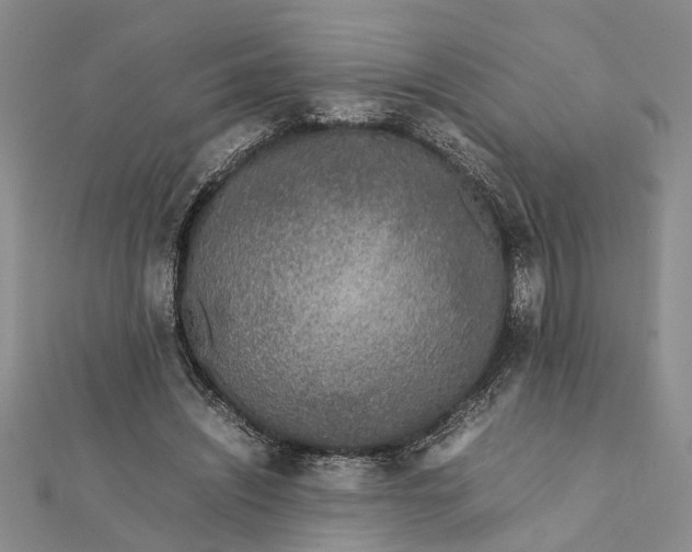 X0000112170444200908281343