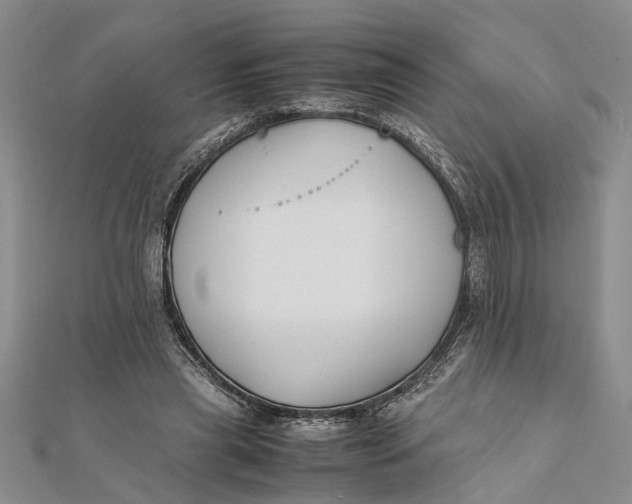 X0000112170445200908281343