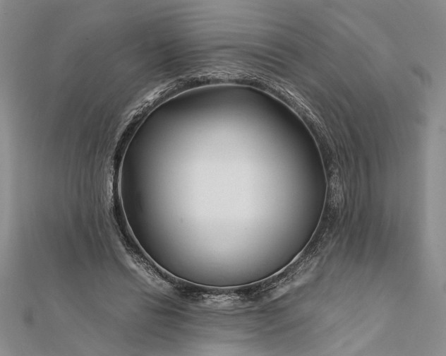 X0000112170446200908281343