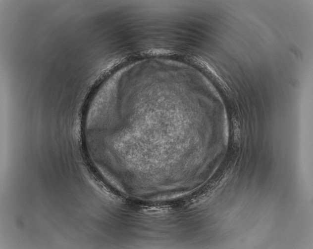 X0000112170447200908281343