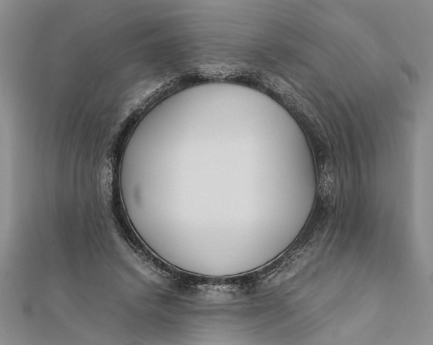 X0000112170448200908281343