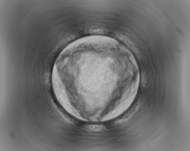 X0000112170449200908281343