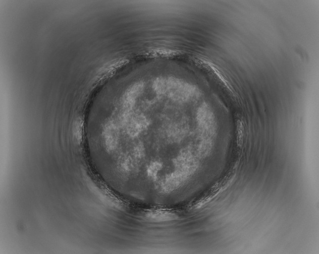 X0000112170451200908281343