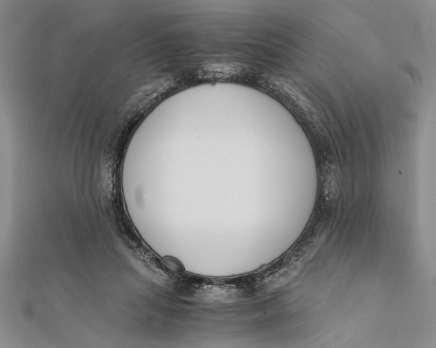 X0000112170455200908281343