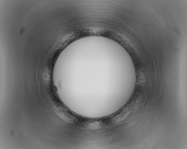 X0000112170456200908281343