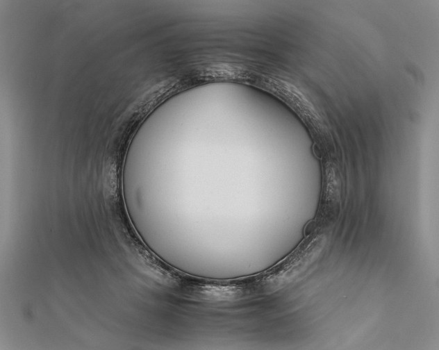 X0000112170457200908281343